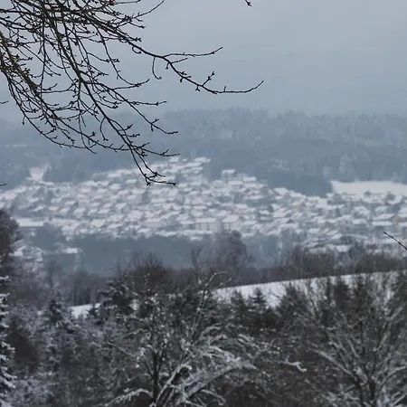 Waldferienhaus * Regen